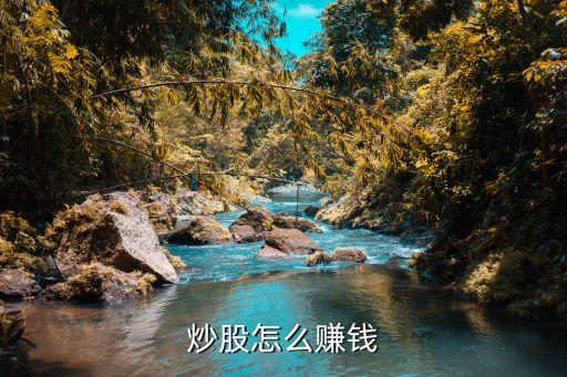 炒股怎么赚钱