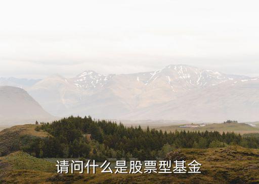 关于股票投资的基金叫什么，请问什么是股票型基金