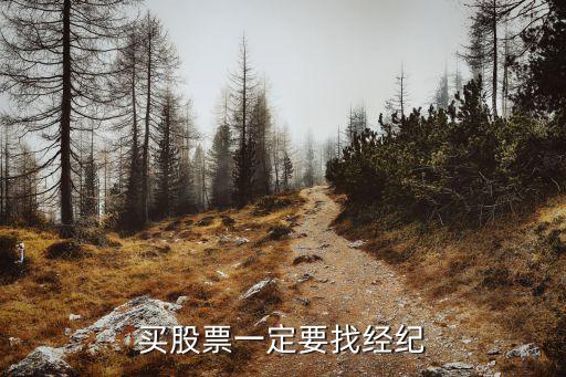 买股票一定要找经纪