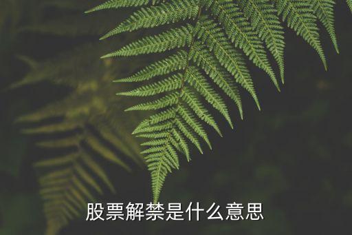 股票解禁是什么意思