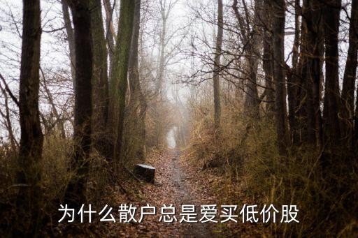 为什么低价股票比较好，为什么散户总是爱买低价股