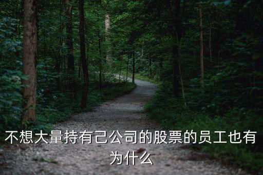 不想大量持有己公司的股票的员工也有为什么