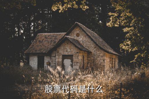 股票代码是什么