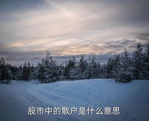 股票散户化意味着什么，散户是什么意思