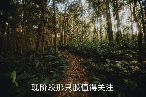 现阶段那只股值得关注