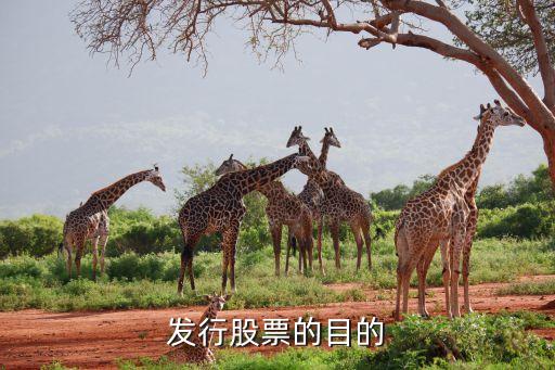 公司发股票的目的是什么，发行股票的目的