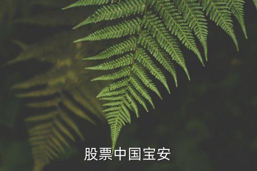 中国宝安板块都有什么股票，股票中国宝安