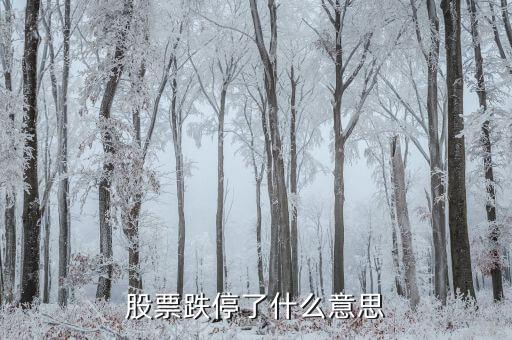 股票跌停了什么意思