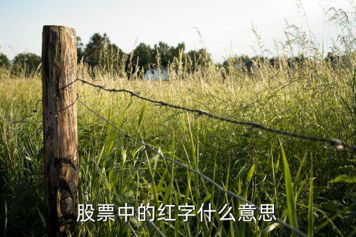 股票中的红字什么意思