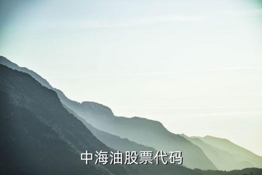 中海油股票上市是什么代码，中海油股票代码