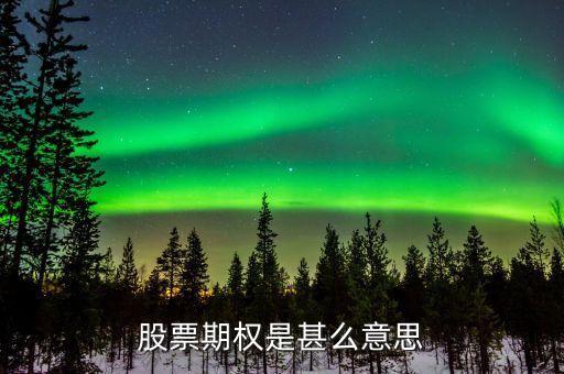 股票期权是甚么意思