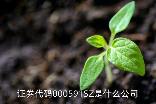 证券代码000591SZ是什么公司