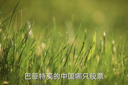 巴菲特买的中国哪只股票
