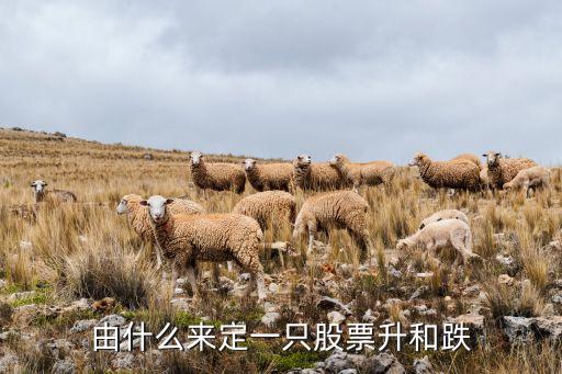 什么是股票上涨能量守恒，股票为什么会涨停或跌停