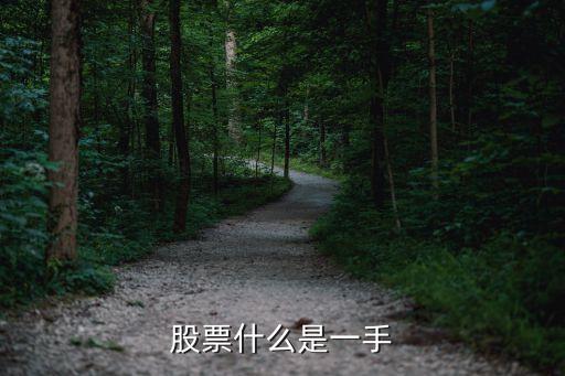 股票交易中1手是什么，股票里一手是什么