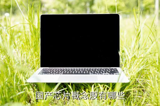 国产芯片概念股有哪些