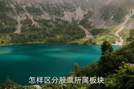 怎样区分股票所属板块