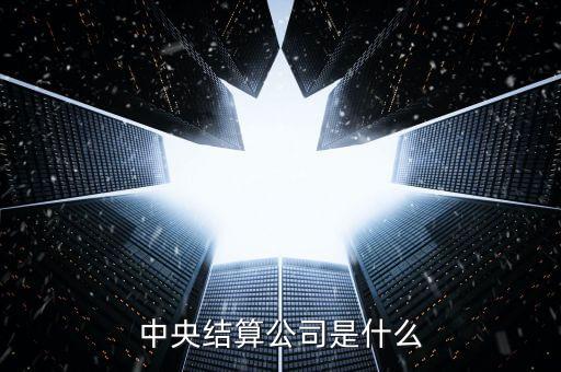 中央结算公司是什么
