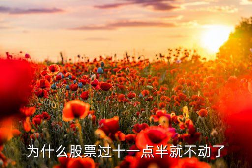 为什么股票过十一点半就不动了