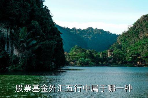 股票基金的五行属什么，股票证券在五行中属什么