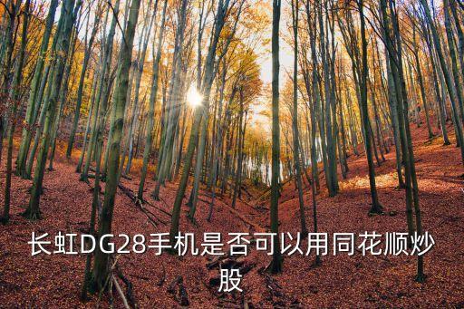 长虹DG28手机是否可以用同花顺炒股