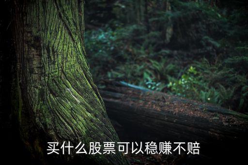 买什么股票可以稳赚不赔