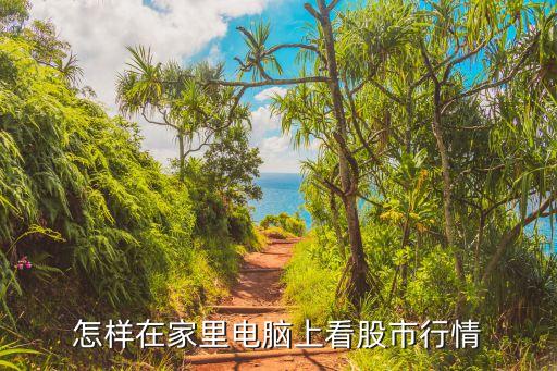 怎样在家里电脑上看股市行情