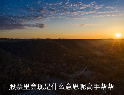 股票里套现是什么意思呢高手帮帮