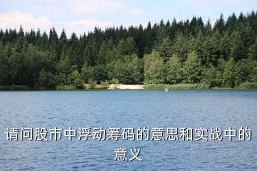 什么是股票筹码术语怎么写，股票名词