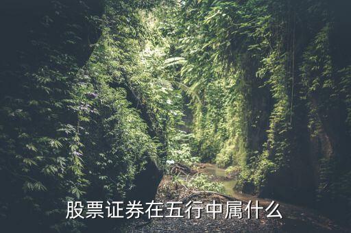 股票证券在五行中属什么