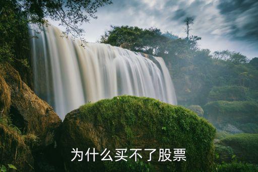 为什么买不了股票