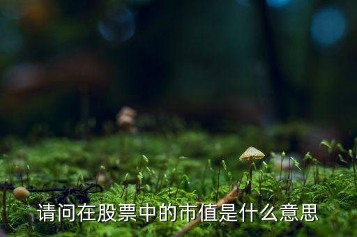 股票账户内市值是什么意思，股票的市值是指什么