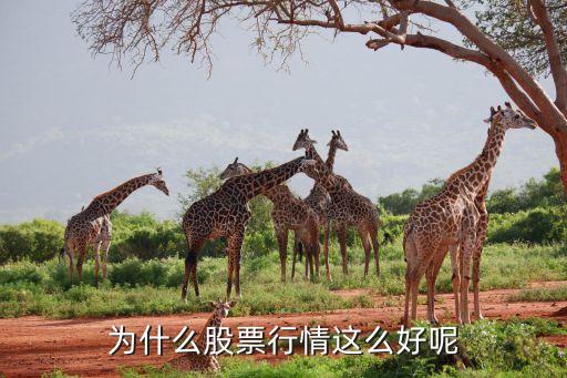 为什么现在的股票比以前好，为什么股票行情这么好呢