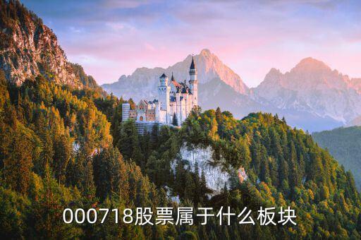 000718股票属于什么板块