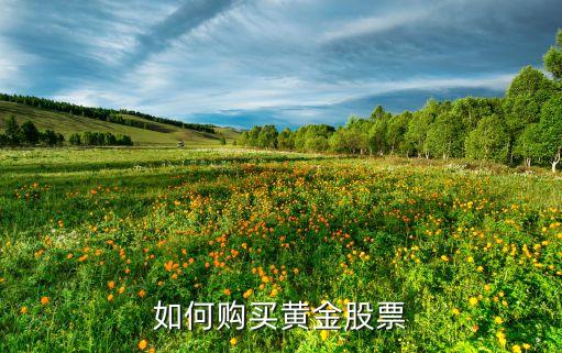 如何购买黄金股票