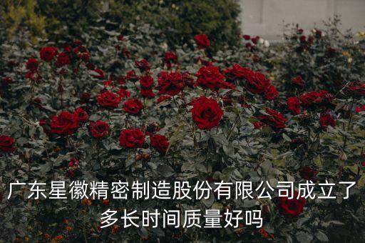 广东星徽精密制造股份有限公司成立了多长时间质量好吗