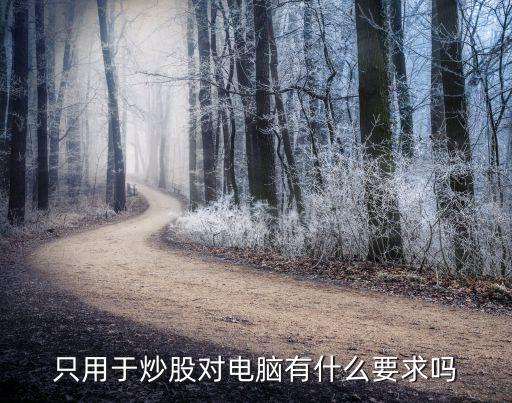 只用于炒股对电脑有什么要求吗