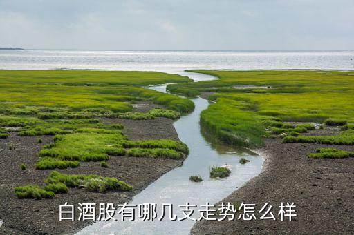 什么是高端白酒股票行情，酒股票是什么