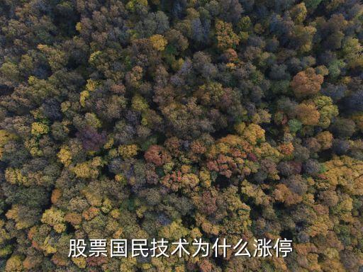 股票国民技术为什么涨停