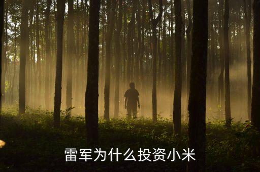 雷军为什么会创立小米股票，雷军为什么控股那么多