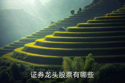 证券龙头股票有哪些
