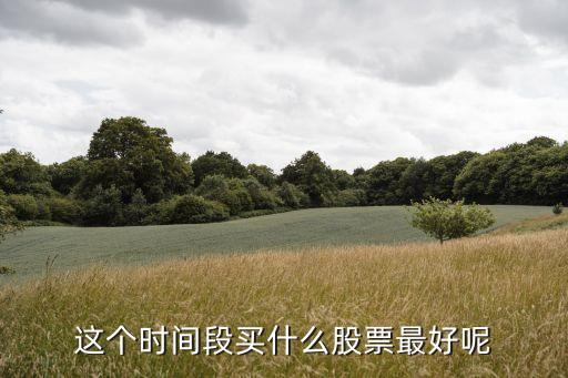 这个时间段买什么股票最好呢