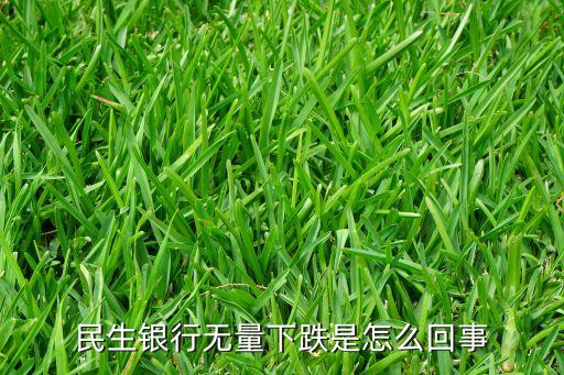 民生银行股票为什么天天跌，民生银行无量下跌是怎么回事