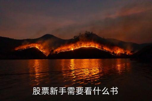 股票新手需要看什么书