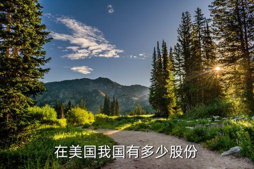 在美国我国有多少股份