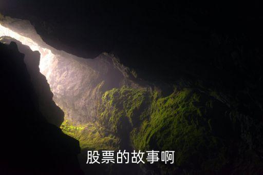 巴菲特为什么发行股票，股票的故事啊