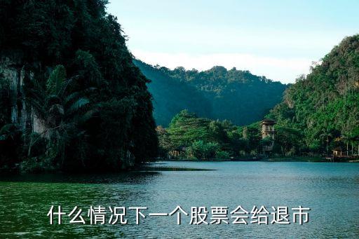 什么情况下一个股票会给退市