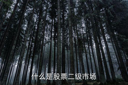 什么是股票二级市场