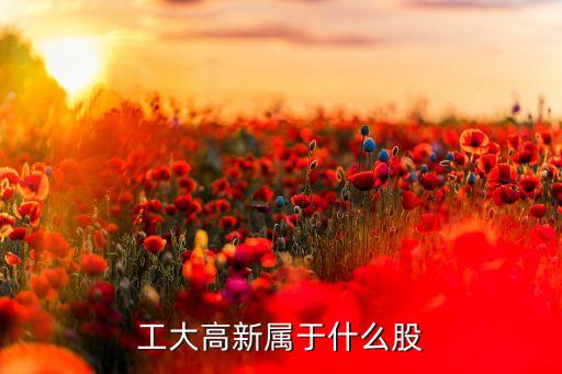 工大高新属于什么股