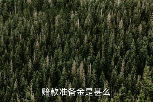 赔款准备金是甚么